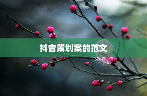 抖音策划案的范文
