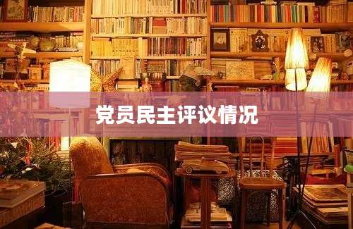 党员民主评议情况