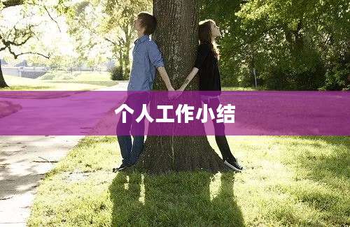 个人工作小结