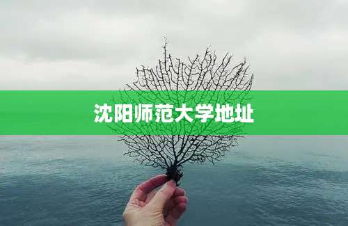 沈阳师范大学地址