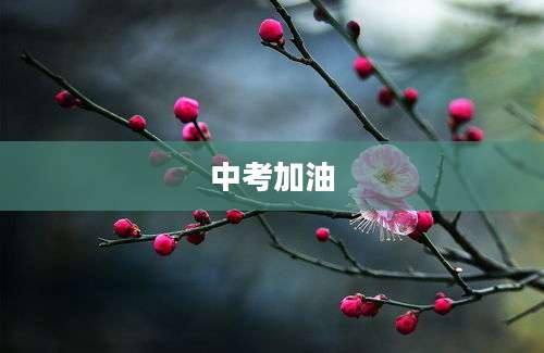 中考加油