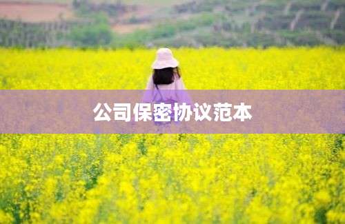 公司保密协议范本