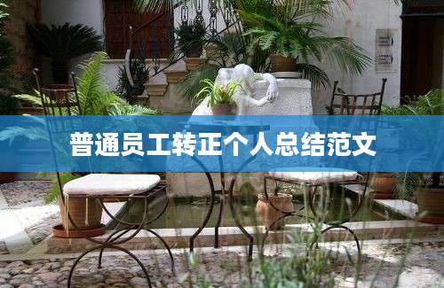 普通员工转正个人总结范文