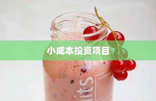 小成本投资项目