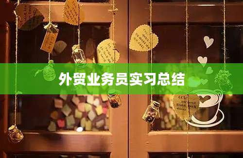 外贸业务员实习总结