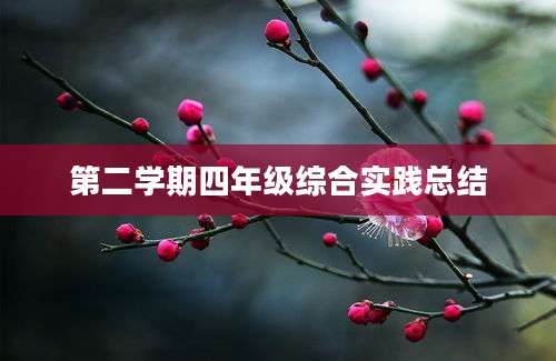 第二学期四年级综合实践总结