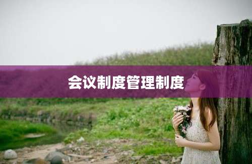 会议制度管理制度