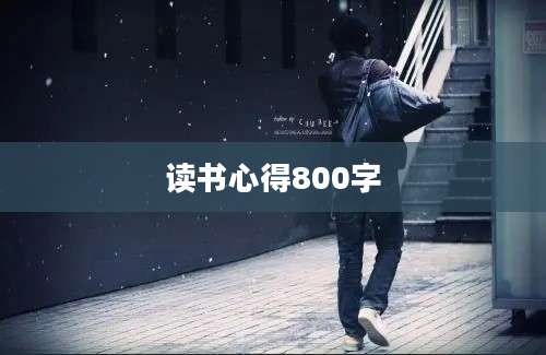 读书心得800字