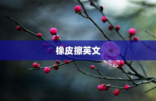 橡皮擦英文