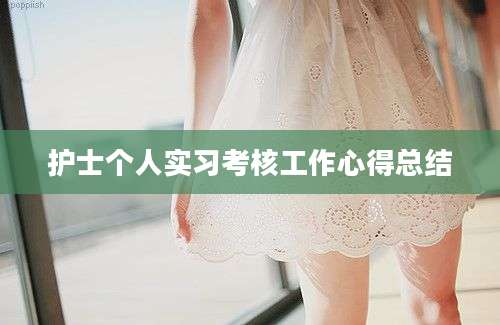 护士个人实习考核工作心得总结