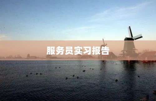 服务员实习报告
