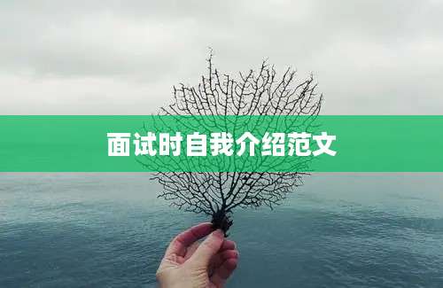 面试时自我介绍范文