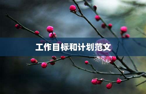 工作目标和计划范文