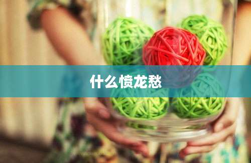 什么愤龙愁