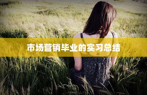 市场营销毕业的实习总结