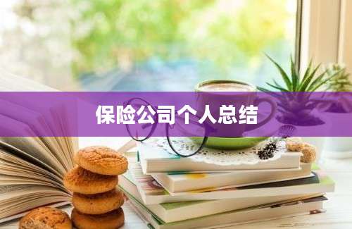 保险公司个人总结
