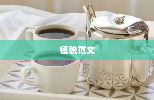 概貌范文