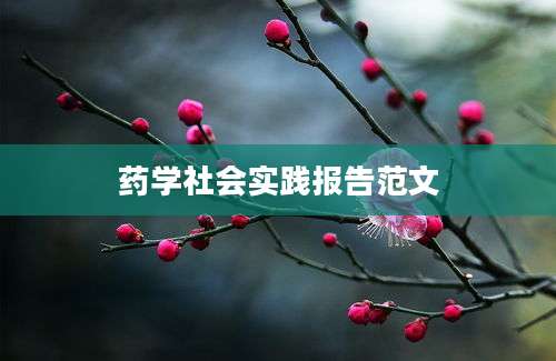 药学社会实践报告范文