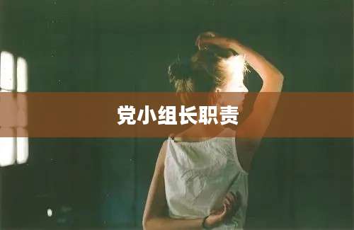 党小组长职责