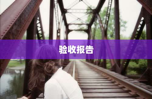 验收报告