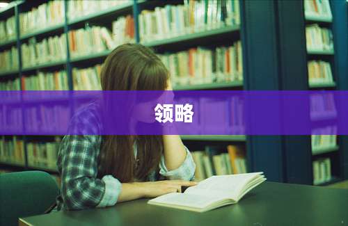 领略