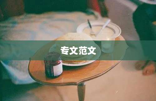 专文范文