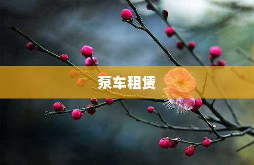 泵车租赁