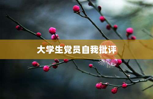 大学生党员自我批评