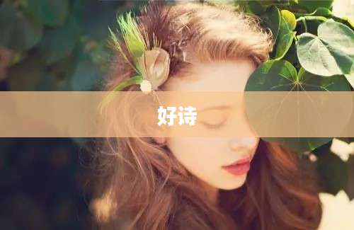 好诗