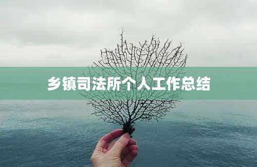 乡镇司法所个人工作总结