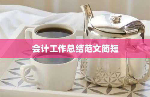 会计工作总结范文简短