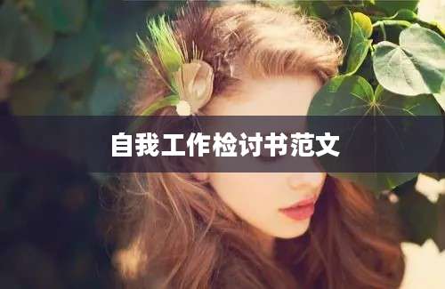 自我工作检讨书范文