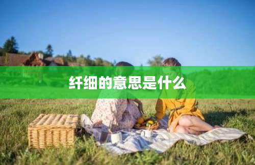 纤细的意思是什么