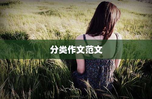 分类作文范文