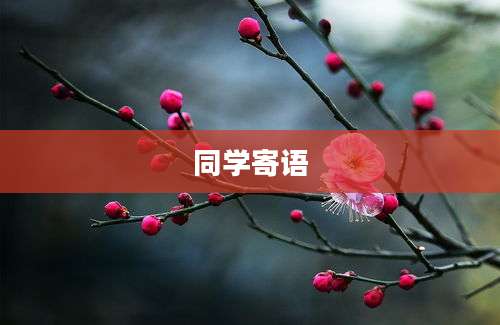 同学寄语
