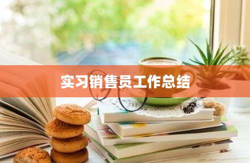 实习销售员工作总结