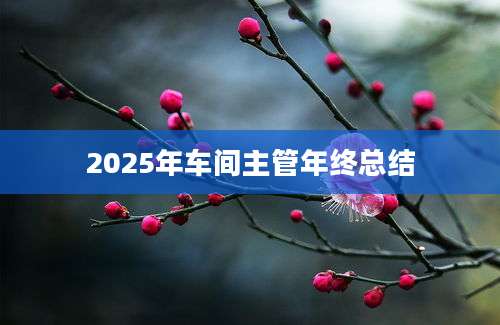 2025年车间主管年终总结