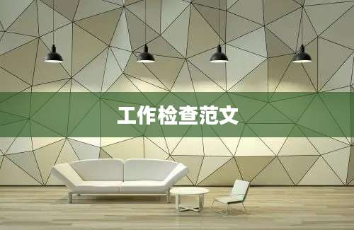 工作检查范文