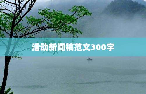 活动新闻稿范文300字