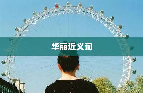华丽近义词