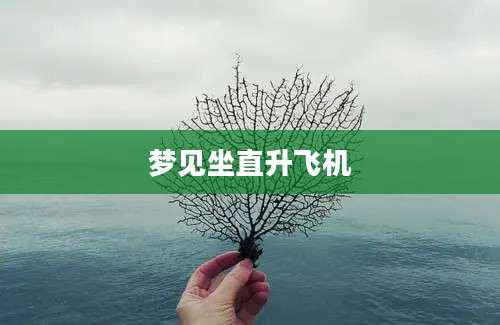 梦见坐直升飞机