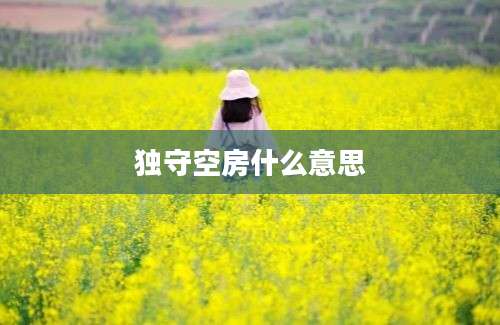 独守空房什么意思