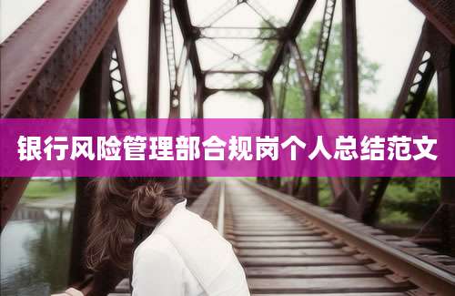 银行风险管理部合规岗个人总结范文