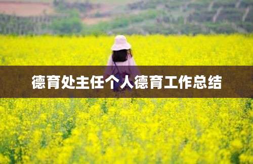 德育处主任个人德育工作总结