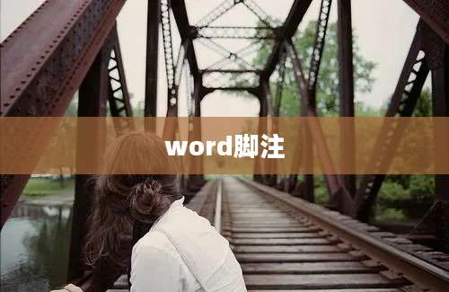 word脚注