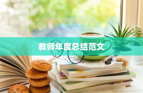 教师年度总结范文