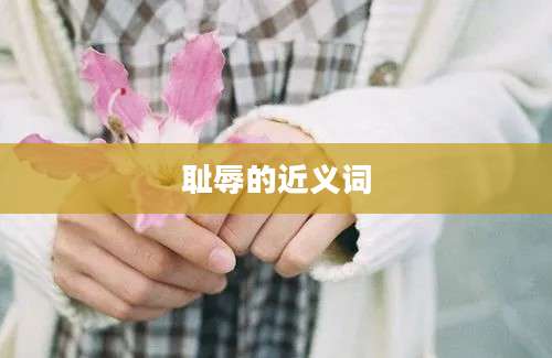 耻辱的近义词