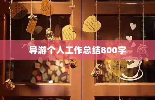 导游个人工作总结800字