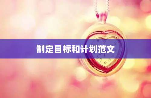 制定目标和计划范文