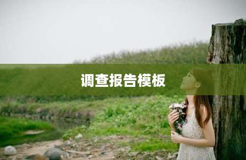调查报告模板
